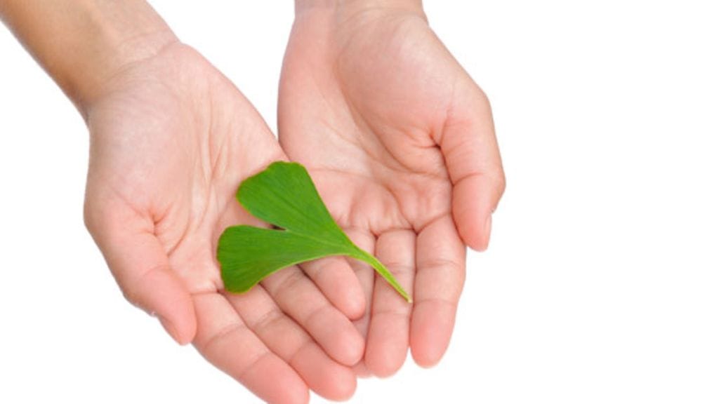 Homeopaattiset lääkkeet valmistetaan luonnonaineista. Kuvituskuva.