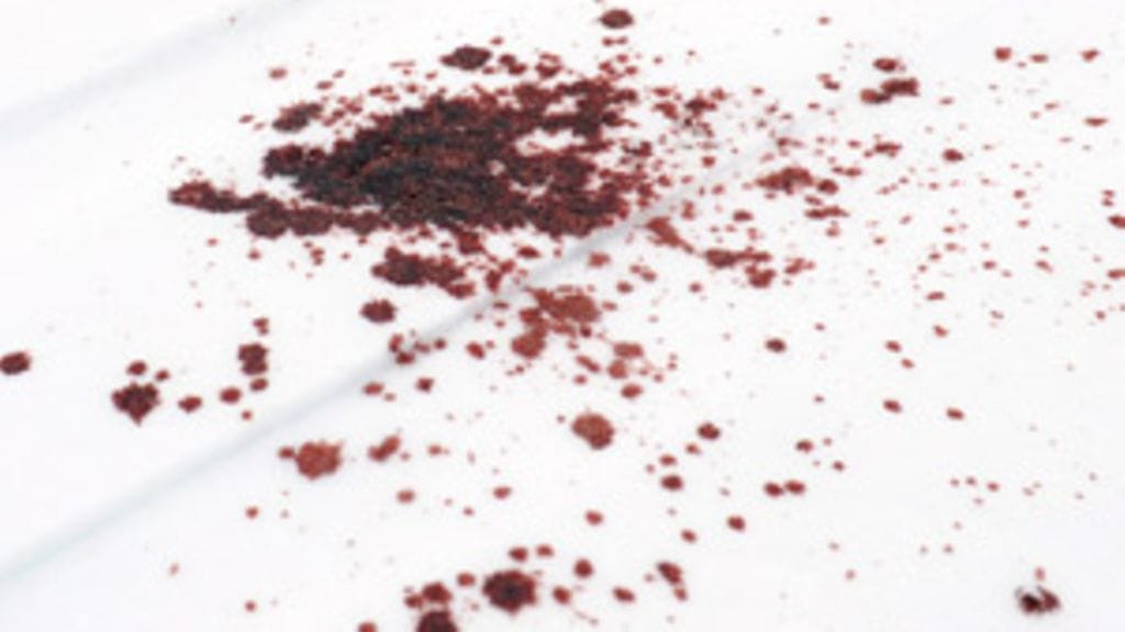 Lehtikuva/Sari Gustafsson