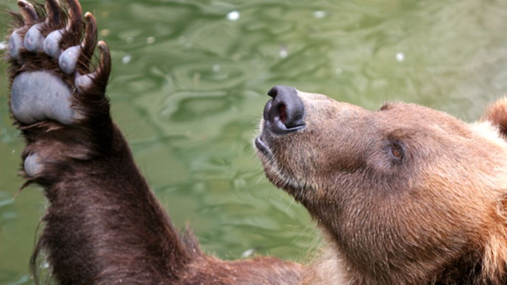 Suomen kielessä on satoja sanoja, joiden merkityksen ymmärrämme vain pinnallisesti.