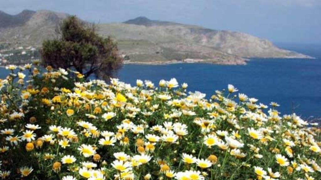 Kuva/Magnus Lindberg