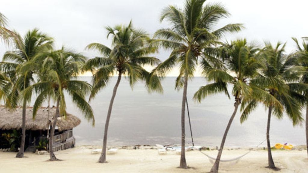 Lehtikuva/Jaakko Avikainen