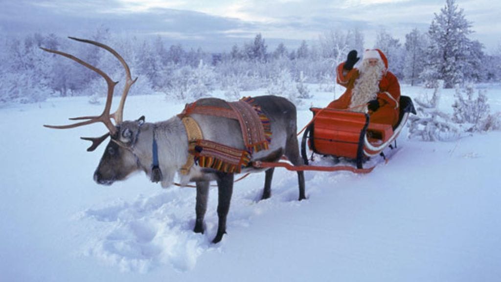Pukki maksaa noin 40–100 euroa. Kuvituskuva.