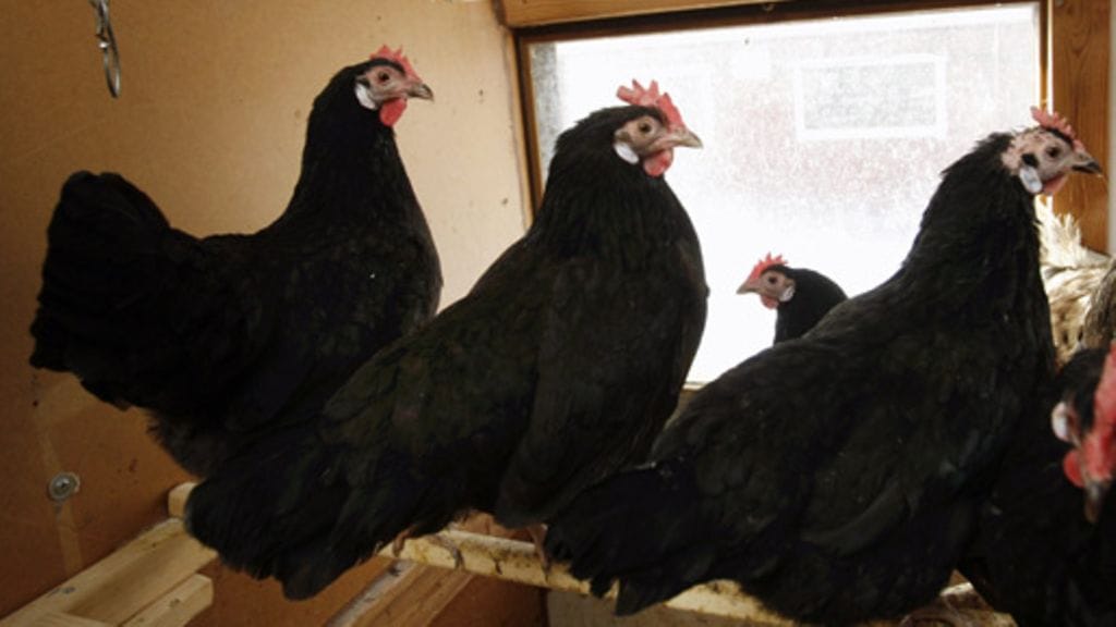 Lehtikuva/Pekka Sakki