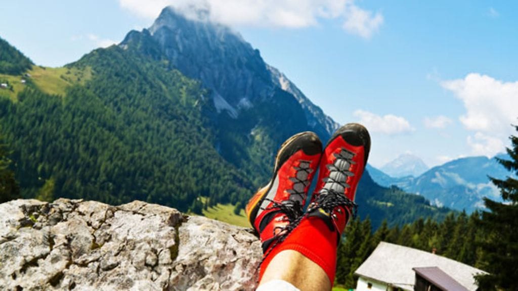 Pentti löysi uuden kodin Itävallasta. Kuvituskuva.