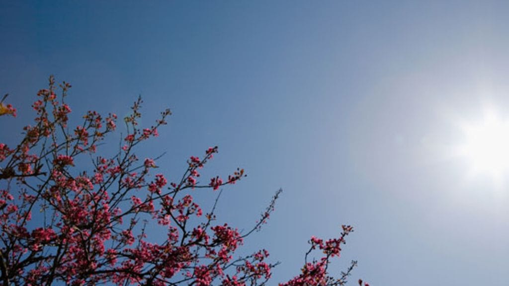 Irtisanominen avasi Maaretille mahdollisuuden tehdä muutakin kuin kirjanpitoa.