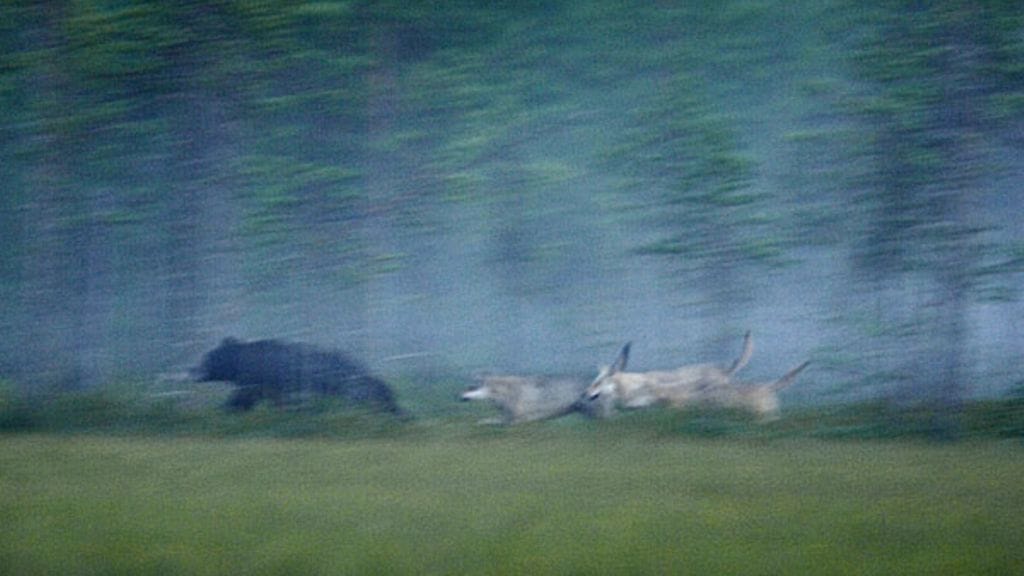 Kuva: Lasse Rautiainen