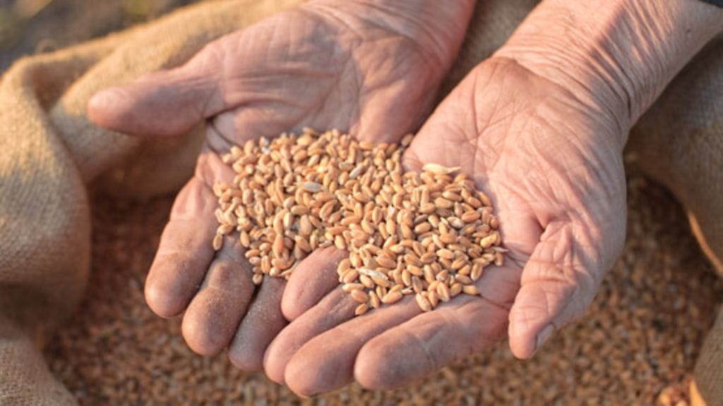 Nyt vältellään hiilihydraattien lisäksi viljan gluteenia.