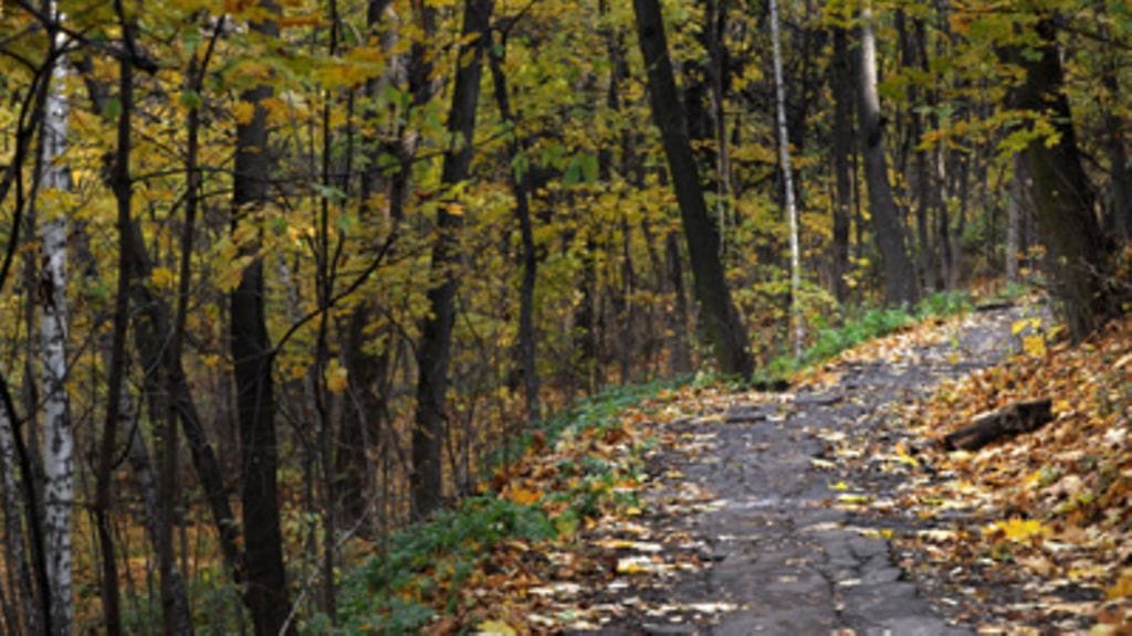 Lehtikuva/Vesa Moilanen