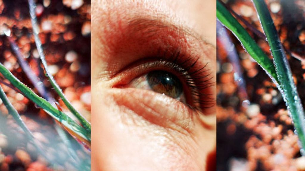 Elintapojen muutos lienee vähentänyt silmänpohjan ikärappeumaa 70-vuotiailla. Kuvituskuva.