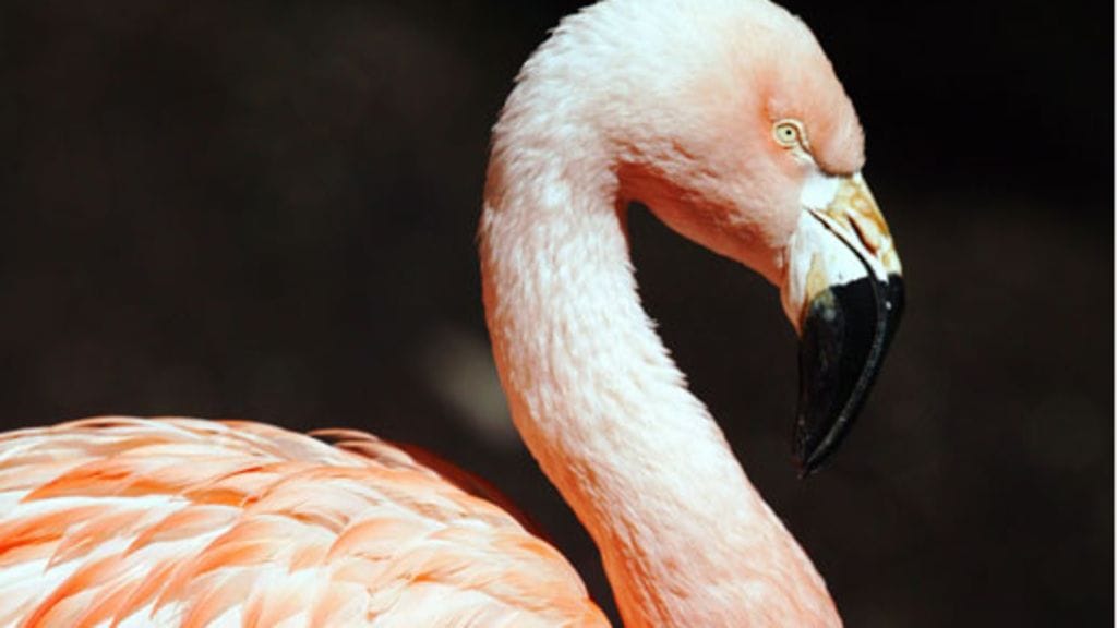 Lehtikuva/Pipsa Matikka