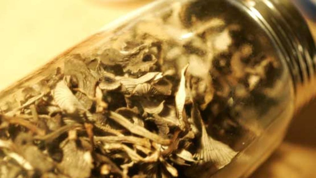 Lehtikuva/Marja Airio