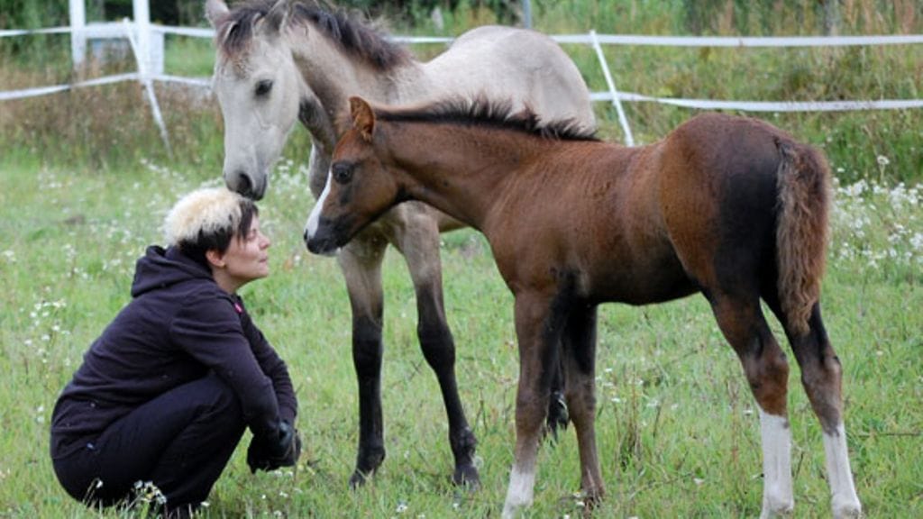 Kuvassa Mia Kytölä.