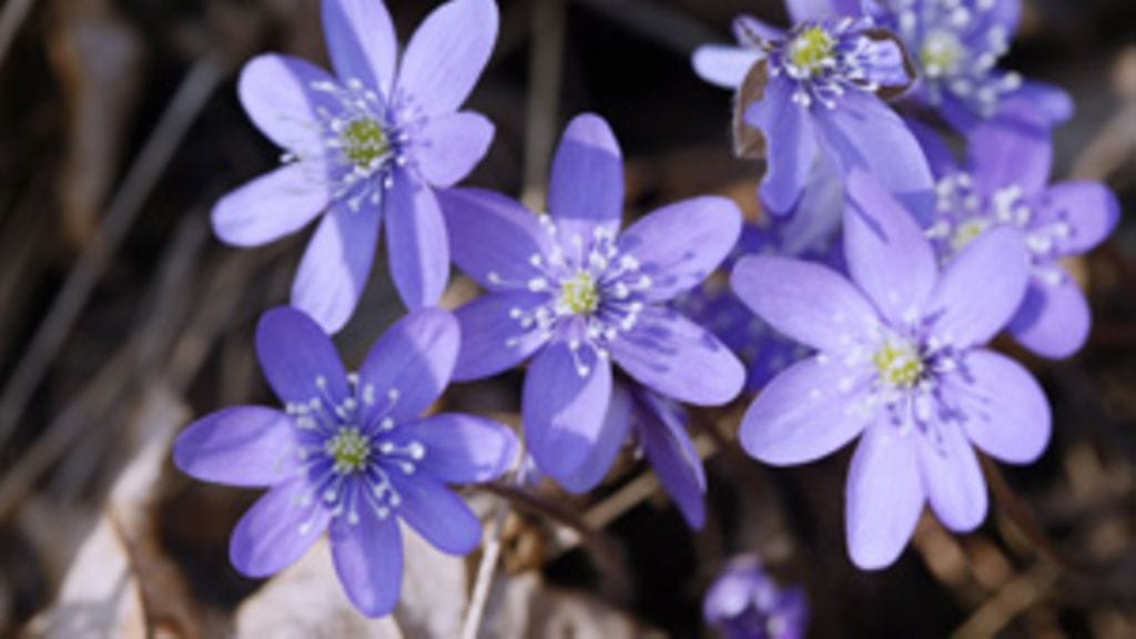 Lehtikuva/Marja Airio