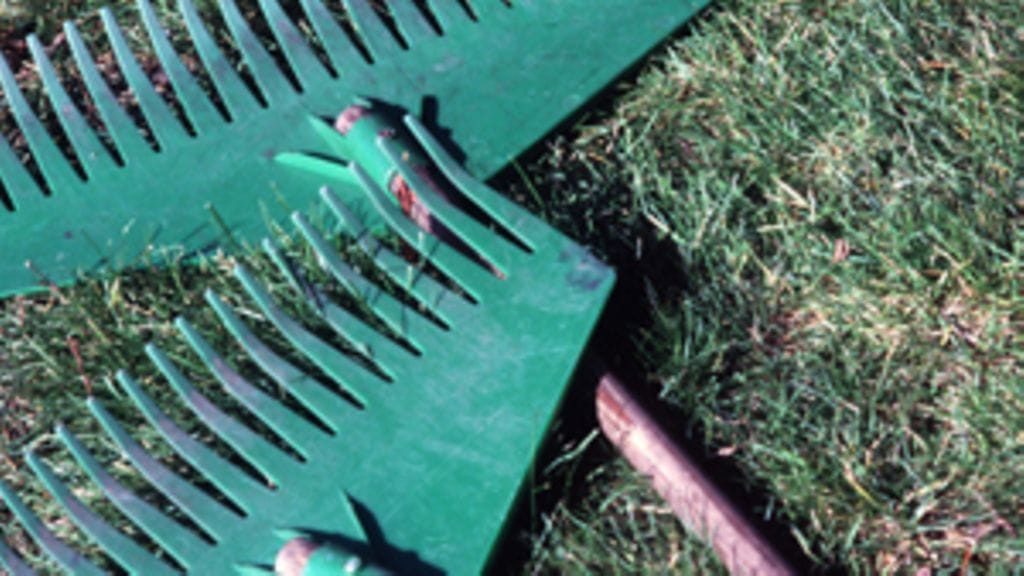 Lehtikuva/Jukka Ritola