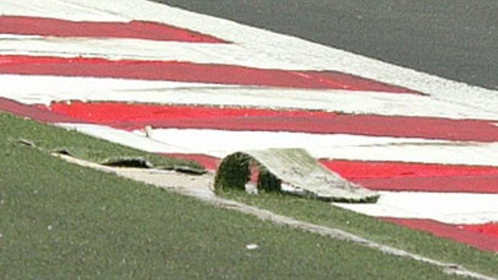 Nurmimatto repsottaa, kuva: MTV3