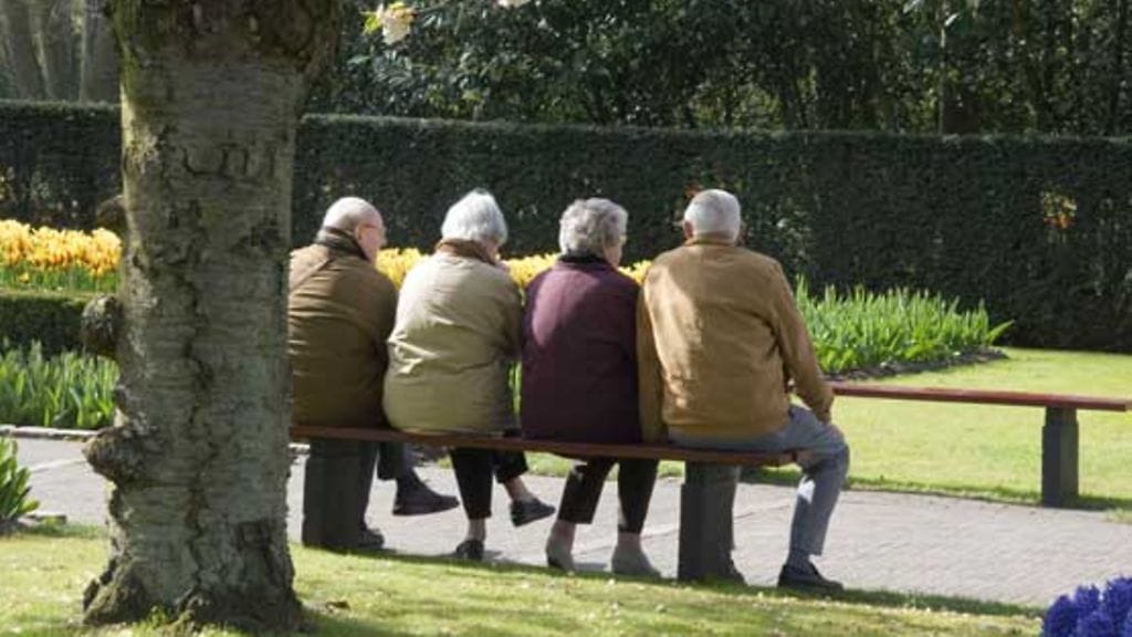 Tiedätkö, saatko tarpeeksi B12-vitamiinia?