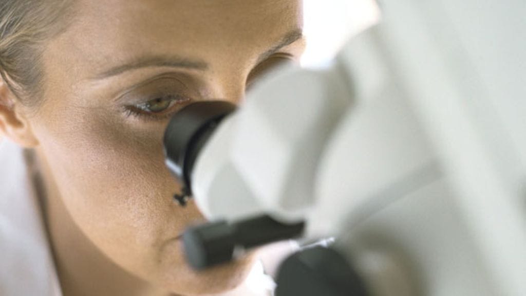 Tulehduksellisten suolistosairauksien etenemisen pysäyttämistä tutkitaan Hollannissa ja pian Suomessa. Kuvituskuva.