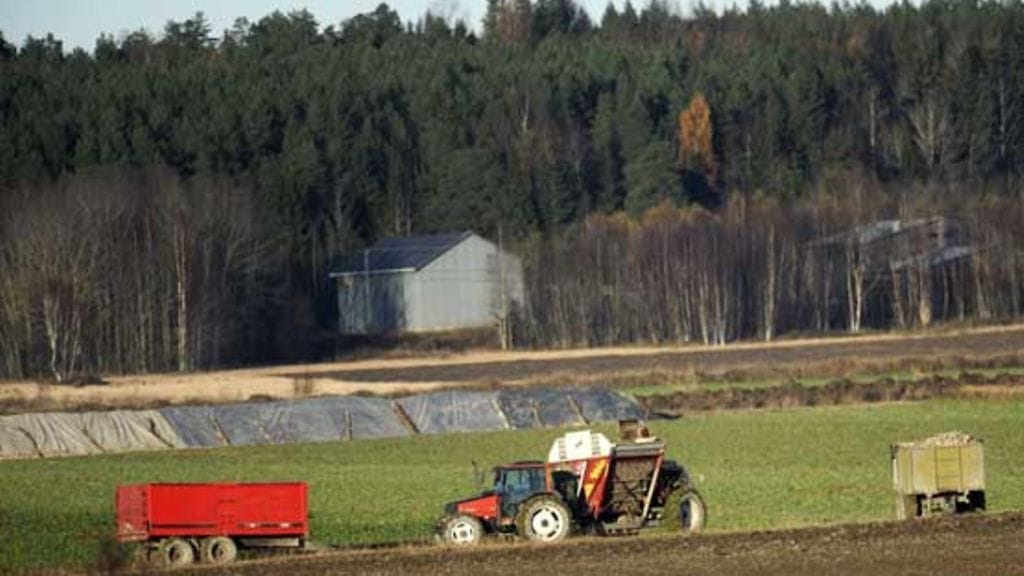 Tehomaataloudella on seurauksensa.