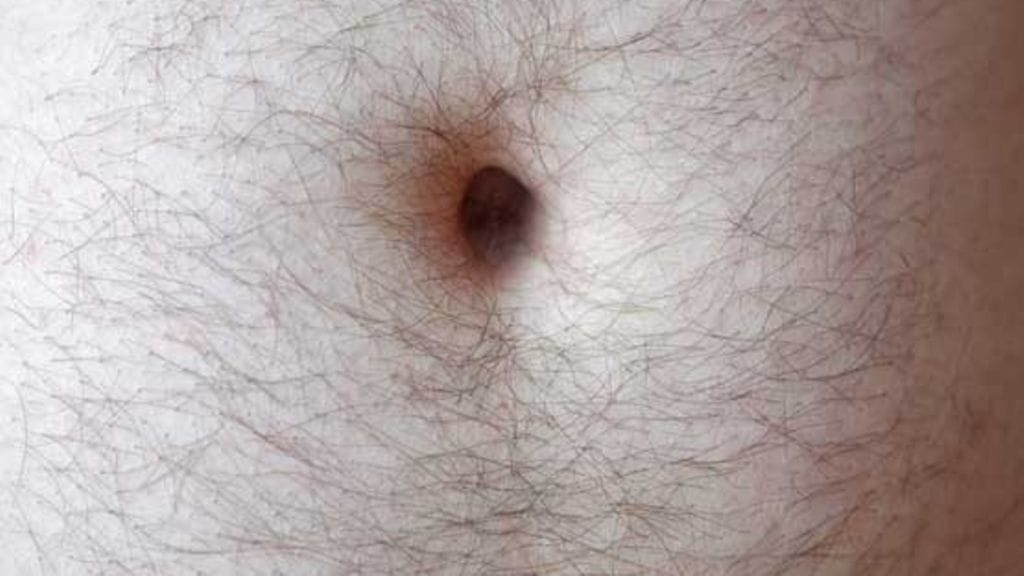 Napanöyhtä innoittaa erikoista keräilijää.