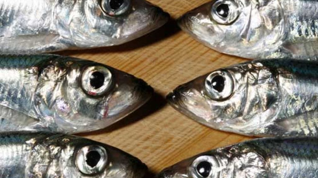 Lehtikuva/Antti Aimo-Koivisto