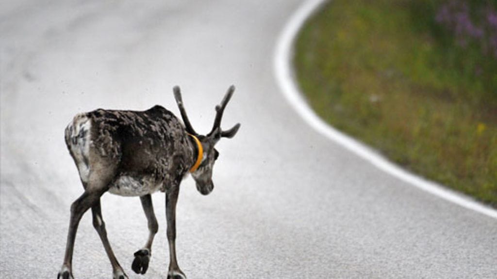 Lehtikuva/Vesa Moilanen