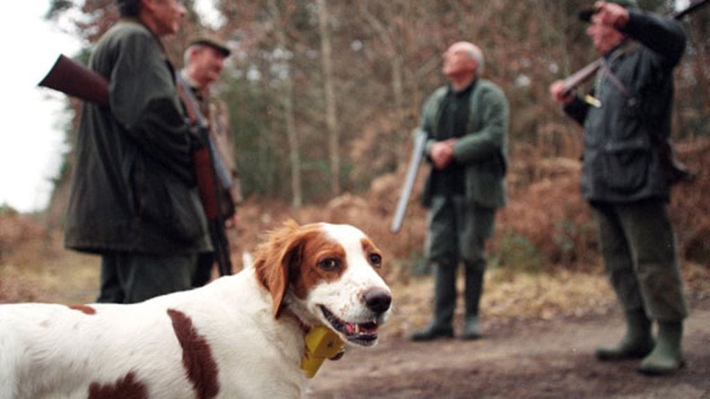 Koiran kanssa metsästetään mielellään.