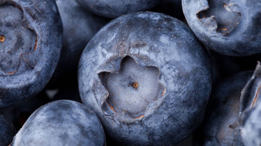 Mustikka parantaa näköä.