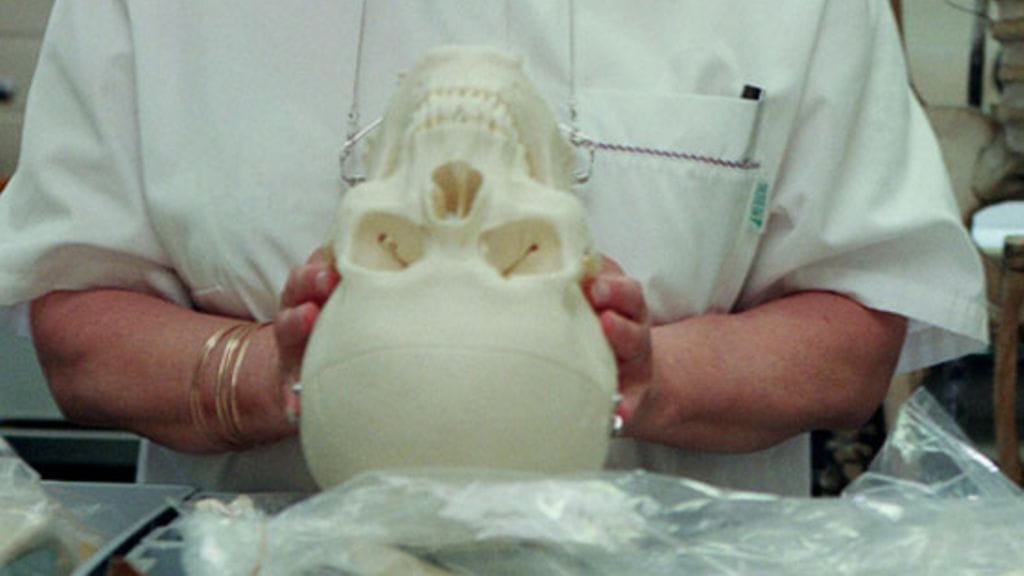 Oikeushammaslääkäri tutkii ja toimii viranomaisten apuna.