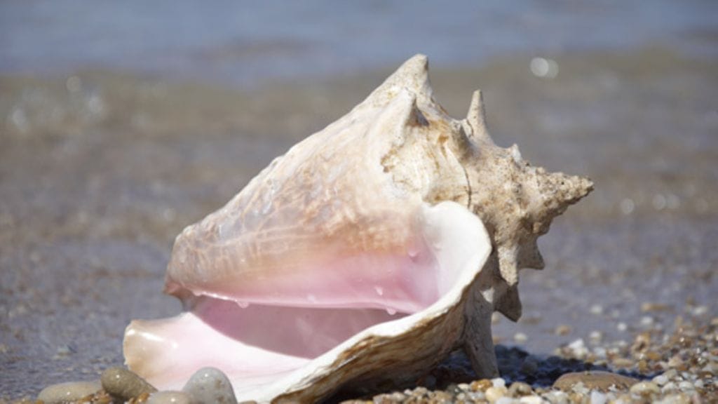 Kuinka sinä olet kasvanut elämänkokemuksen kautta? Kerro meille tarinasi!