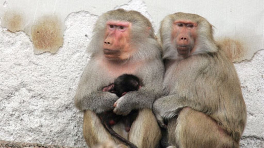 Lehtikuva/Jaakko Avikainen