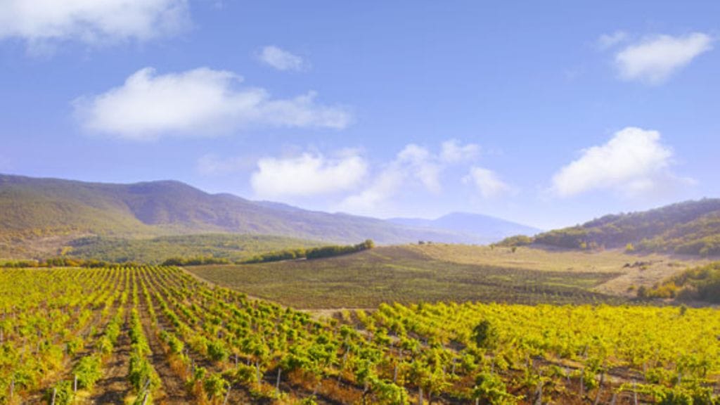 Marlborough'n laakso Uudessa-Seelannissa.