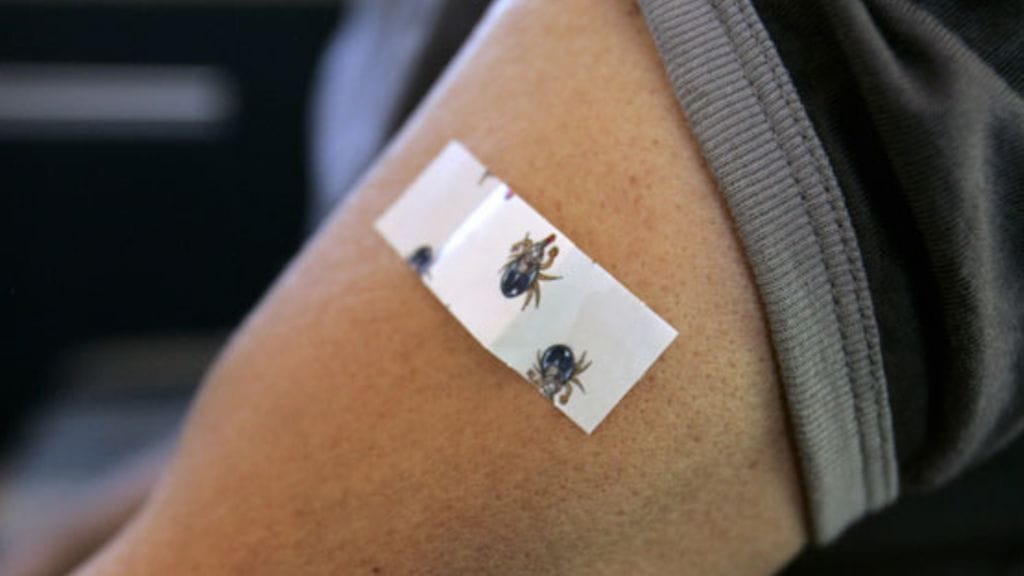 Punkkirokote toimii vain puutiaisaivokuumetta vastaan.