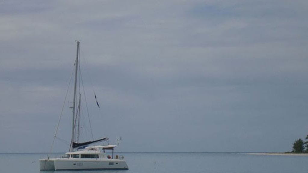 Anne ja Tero talvehtivat lämpimillä vesillä.