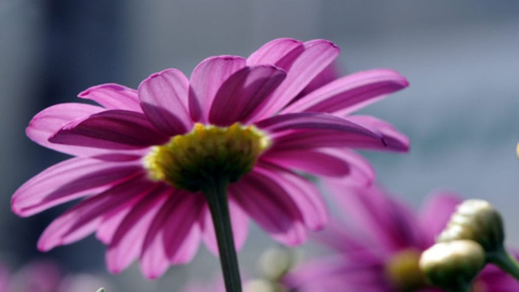 Lehtikuva/Marja Airio