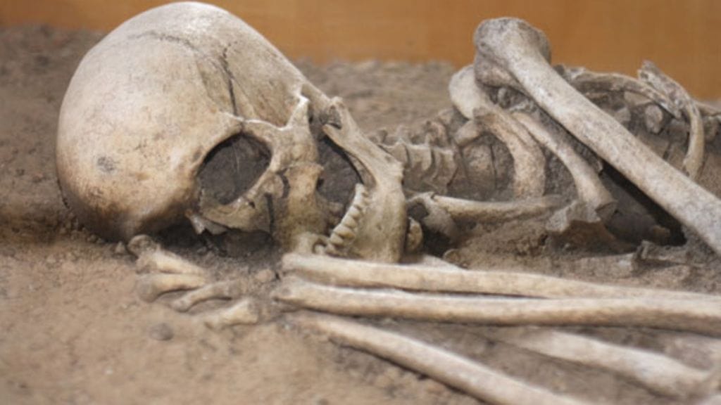 Osa ihmisistä haluaa nähdä museossa luita, osa ei. Kuvituskuva.