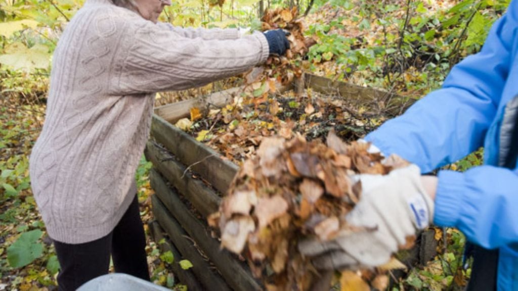 Pitkään elävät suomenruotsalaiset tekevät asioita yhdessä. Kuvituskuva.
