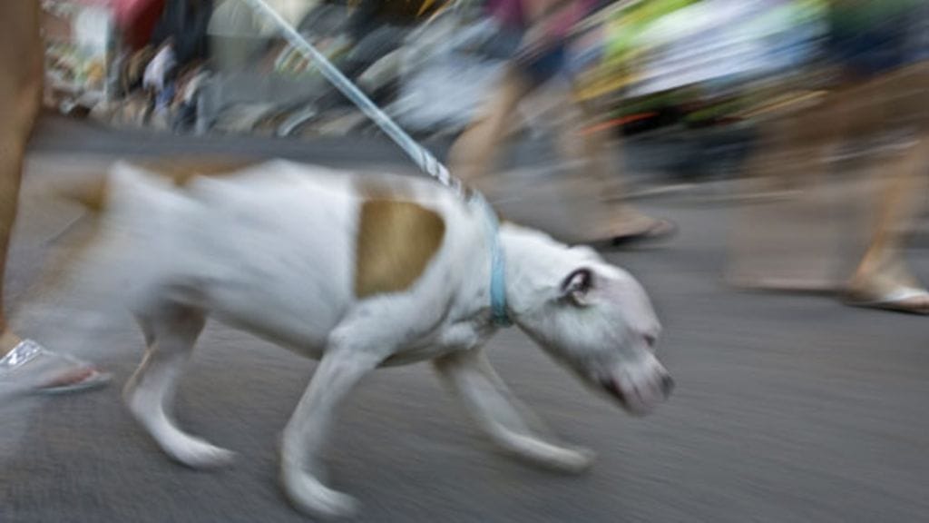 Vetämisestäkin voi opettaa eroon.