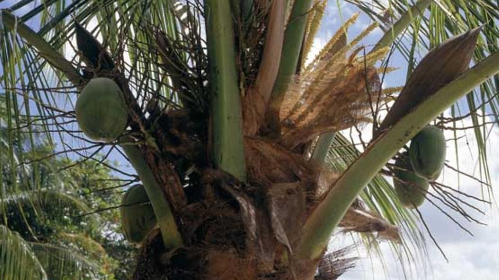 Lehtikuva/Berit Åberg