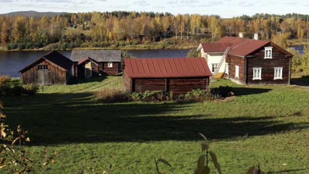 Maatalouslomittajana työskentelevä Aulikki käy säännöllisesti jäsenkorjaajan pakeilla.