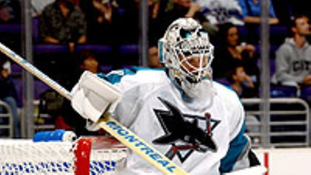 Vesa Toskala (Photo: Harry How/Getty Images)