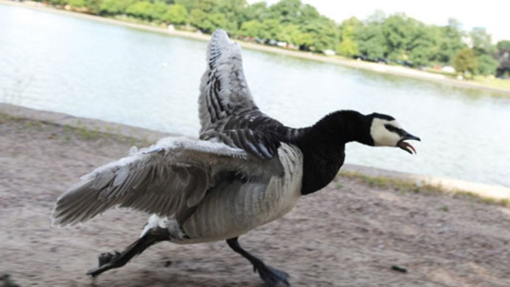 Lehtikuva/Martti Kainulainen