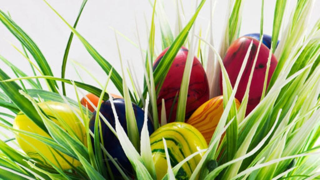 Jo rairuohon istutus tekee hyvää mielenterveydelle.