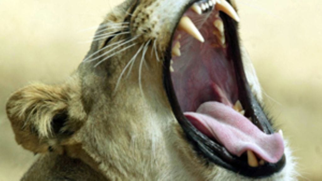 Lehtikuva/Jussi Nukari