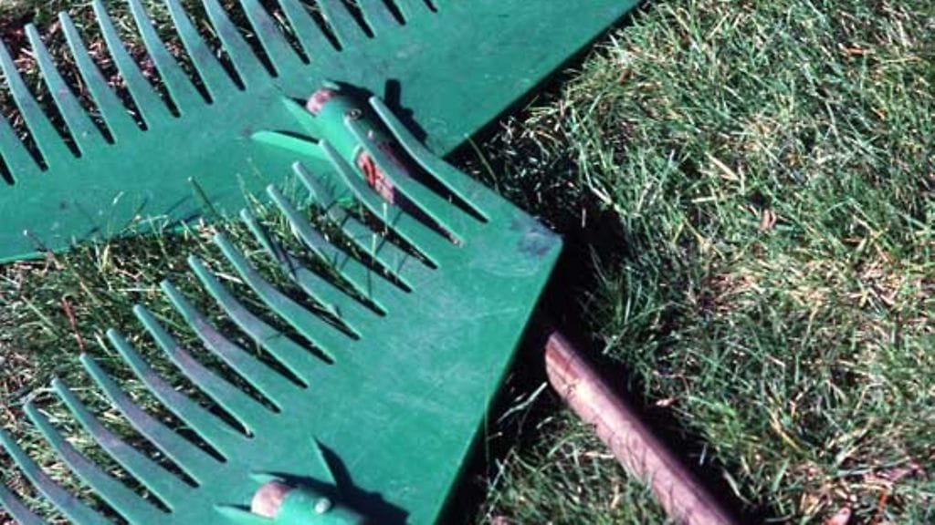 Lehtikuva/Jukka Ritola