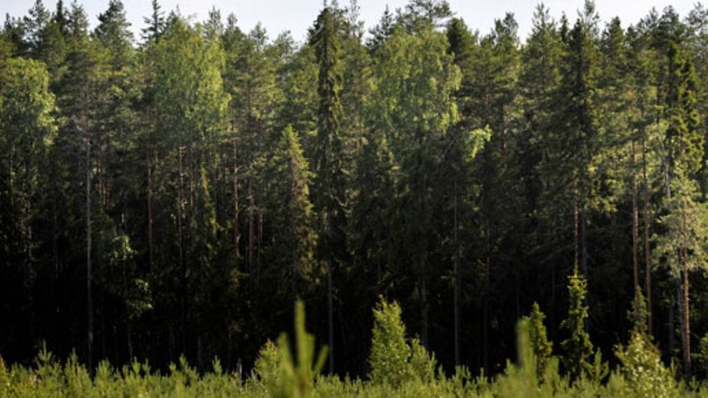 Lehtikuva/Vesa Moilanen