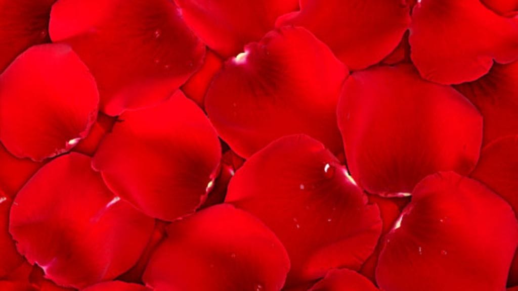 Christiane Luckardt poseerasi yhdeksänkymppisenä tyttökalenterissa.