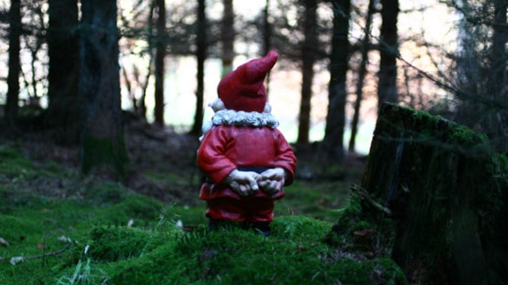 Uskotko sinä metsänhenkiin? Kuvituskuva.