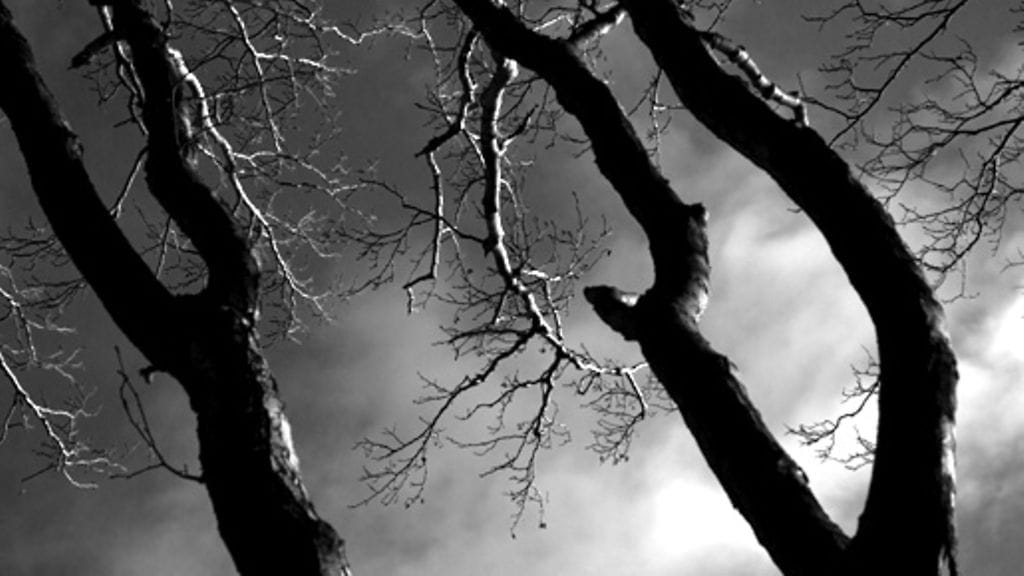 Kuva: futureimagebank.com