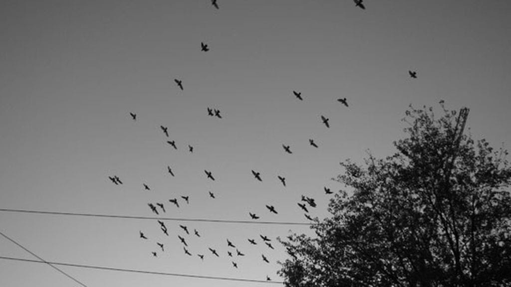 Leena odottaa yhteydenottoa sisaruksiltaan.