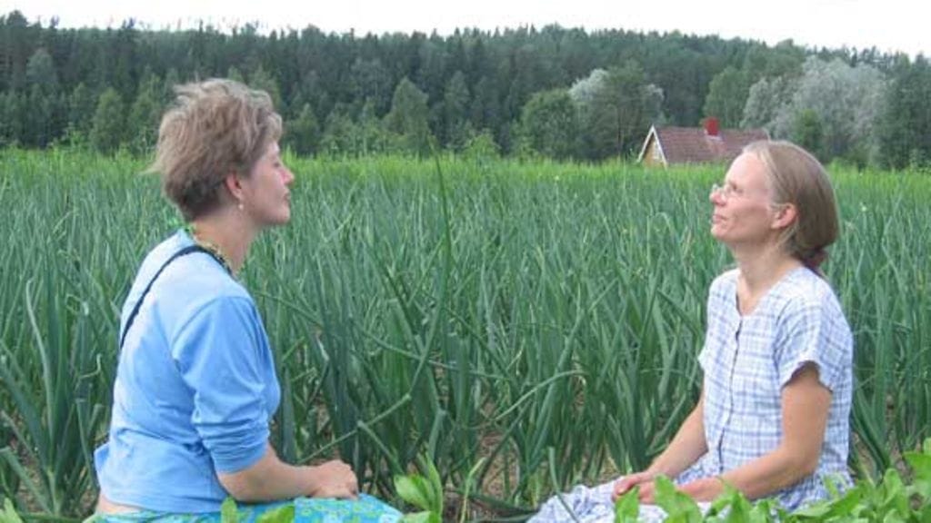 Ekokylän asukkaat Marjaana Heinonen (vas.) ja Jaana Kuusela kasvimaalla.